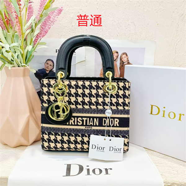Dior small bag-0127