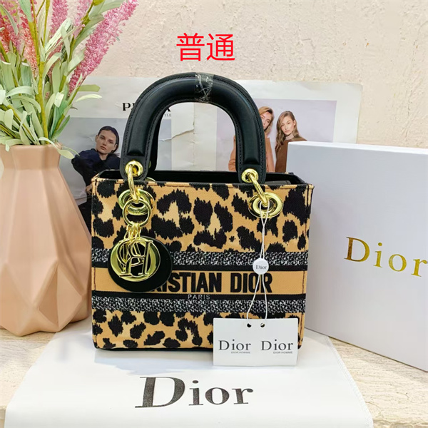 Dior small bag-0129