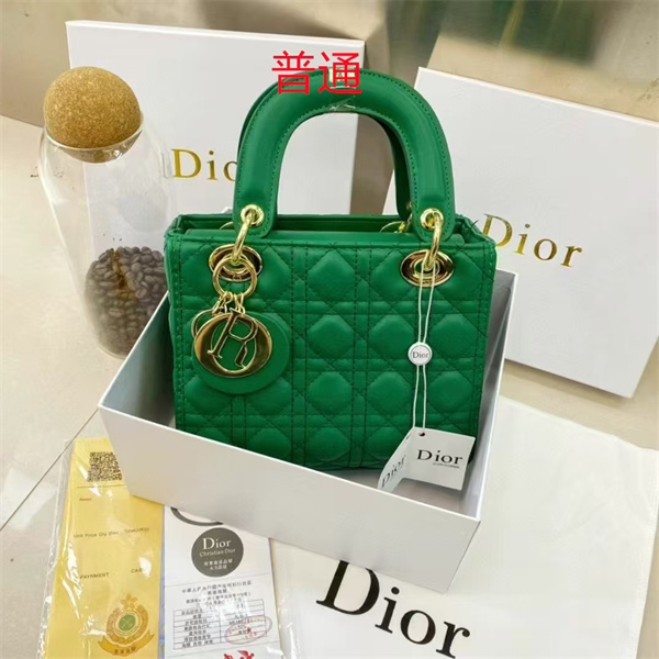 Dior small bag-0132