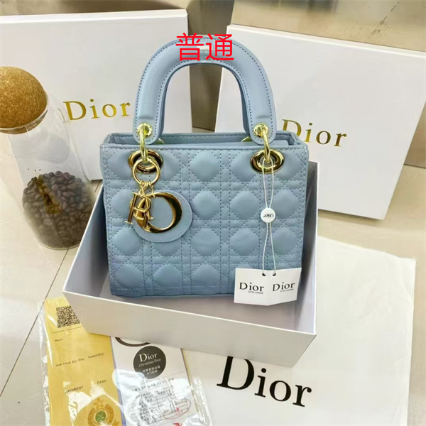 Dior small bag-0136