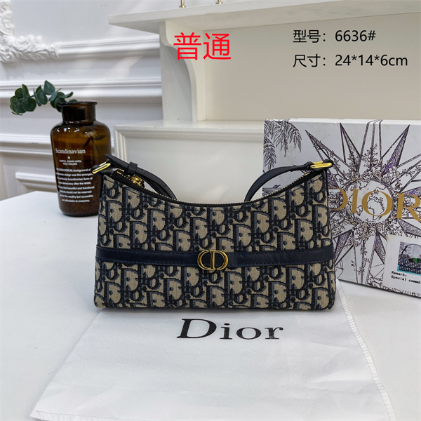 Dior small bag-0154