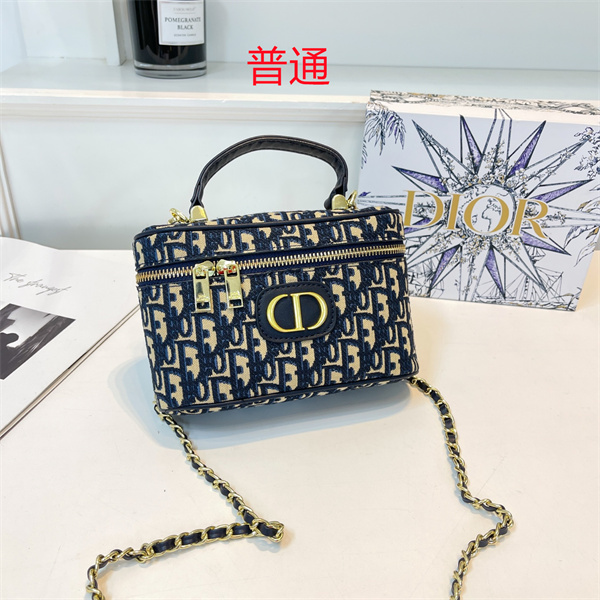 Dior small bag-0184