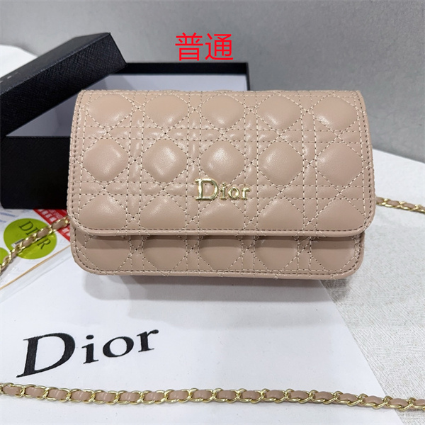 Dior small bag-0216
