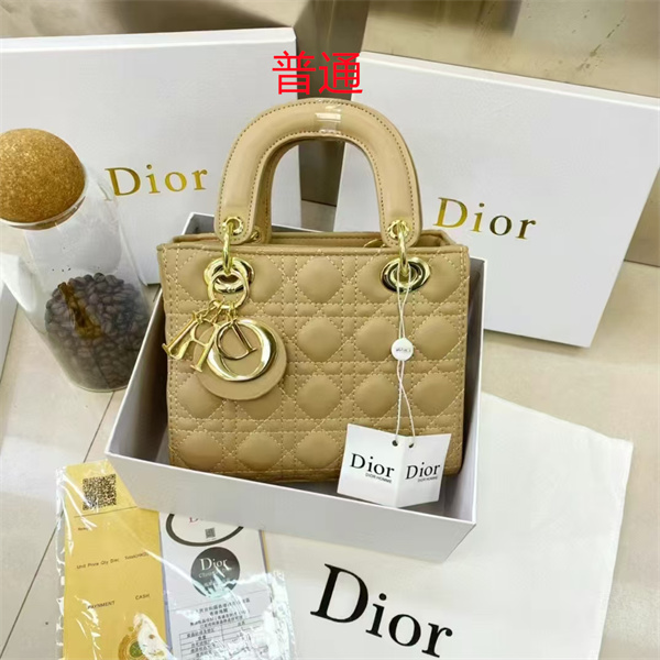 Dior small bag-0225