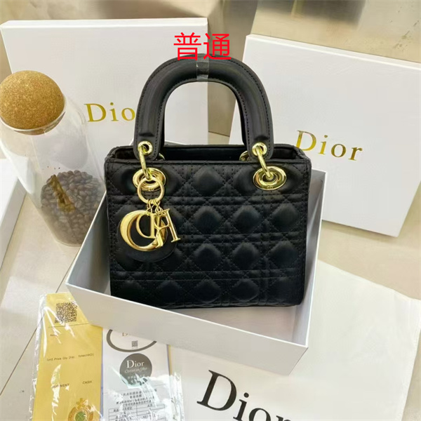 Dior small bag-0228