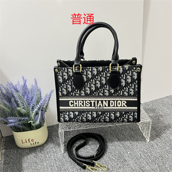 Dior small bag-0255