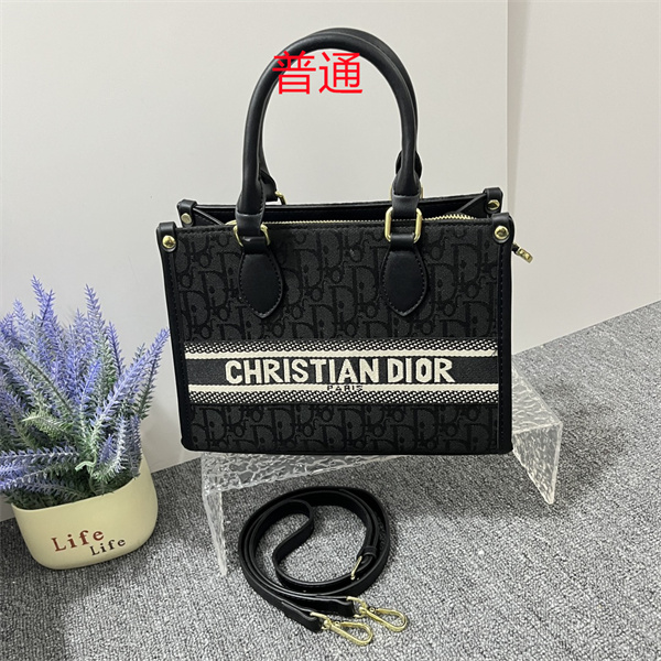Dior small bag-0256