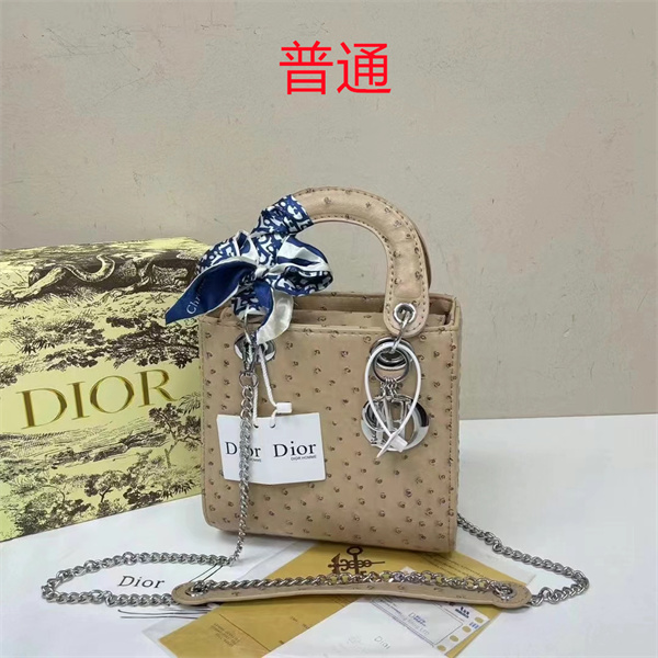 Dior small bag-0295