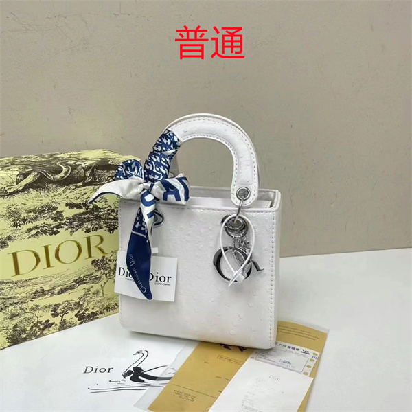 Dior small bag-0296