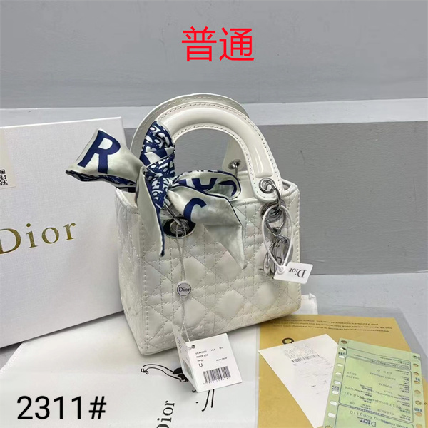 Dior small bag-0324