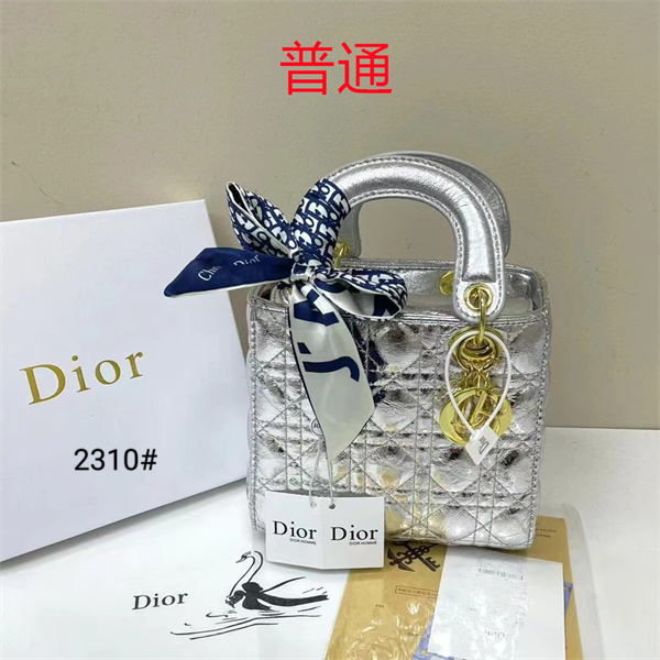 Dior small bag-0330