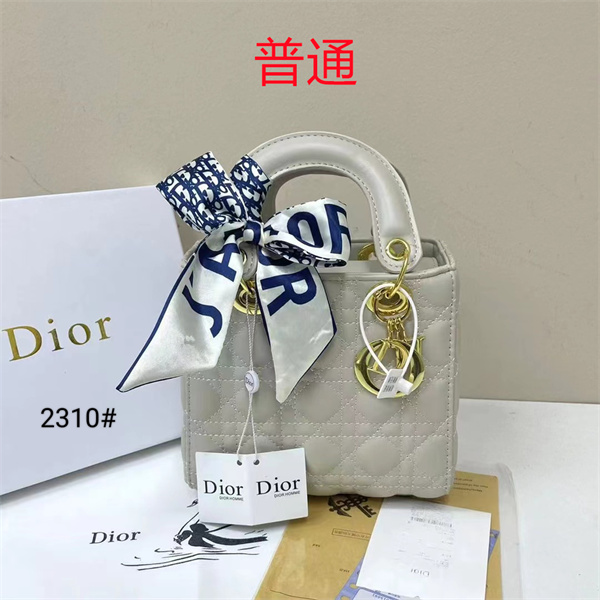 Dior small bag-0334