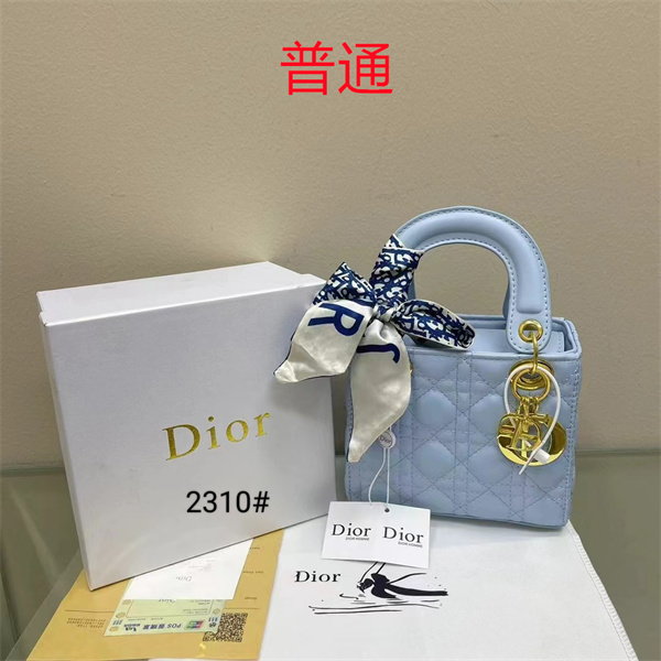 Dior small bag-0336