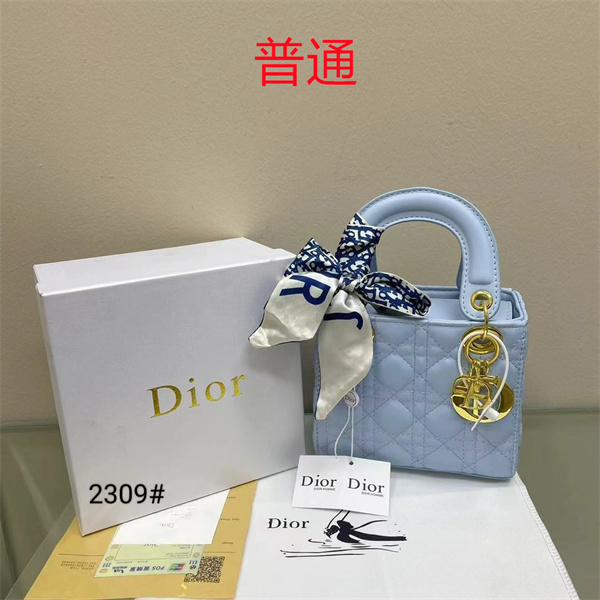 Dior small bag-0339