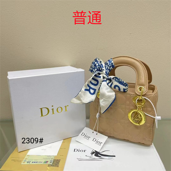 Dior small bag-0341