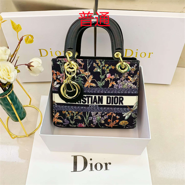 Dior small bag-0350