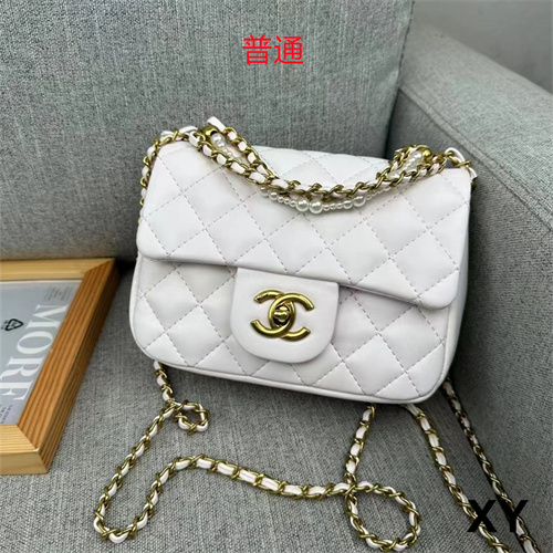 Chanel small bag-0119