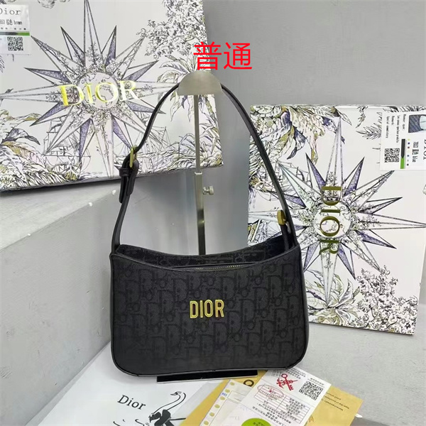 Dior small bag-0379