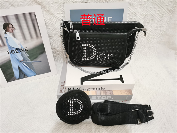 Dior small bag-0385