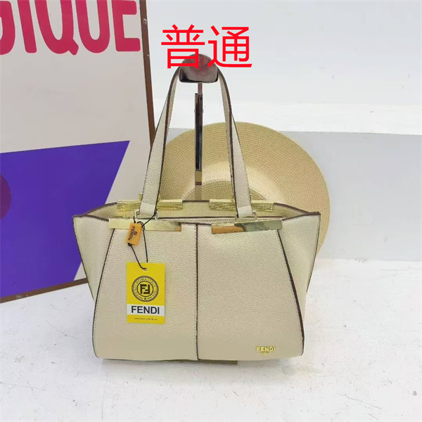 Fendi bag-0172