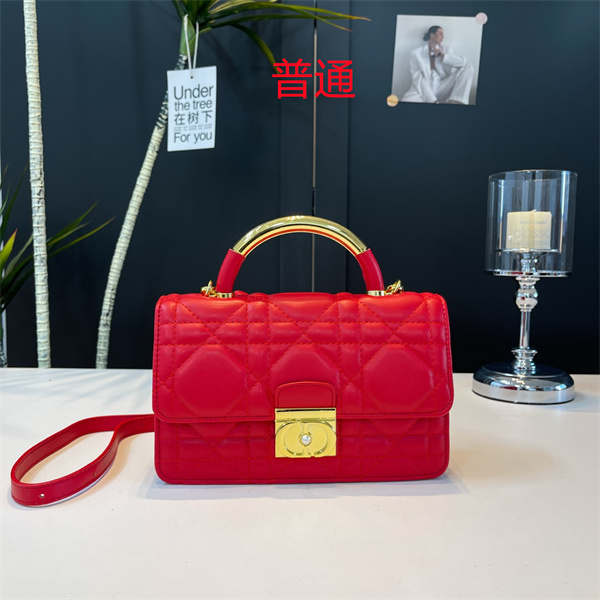 Dior small bag-0417