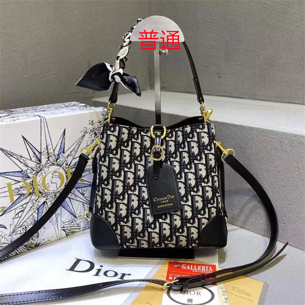 Dior small bag-0420