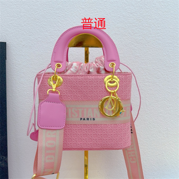 Dior small bag-0449