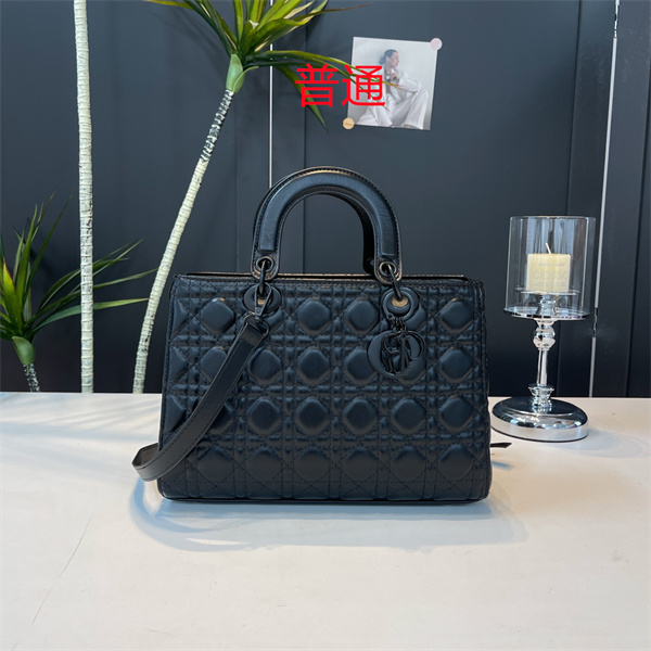 Dior small bag-0470