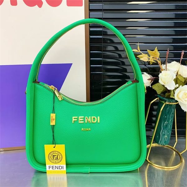 Fendi small bag-0065