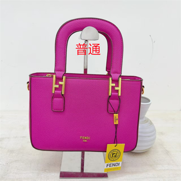 Fendi small bag-0173