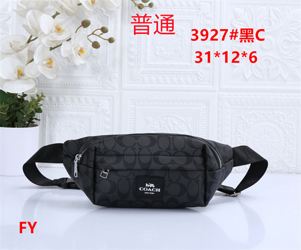 Coach small bag-0119
