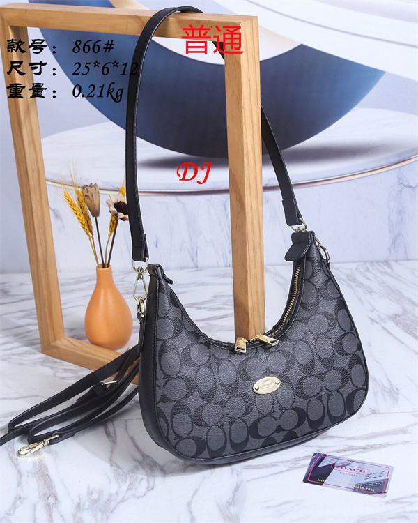 Coach small bag-0132