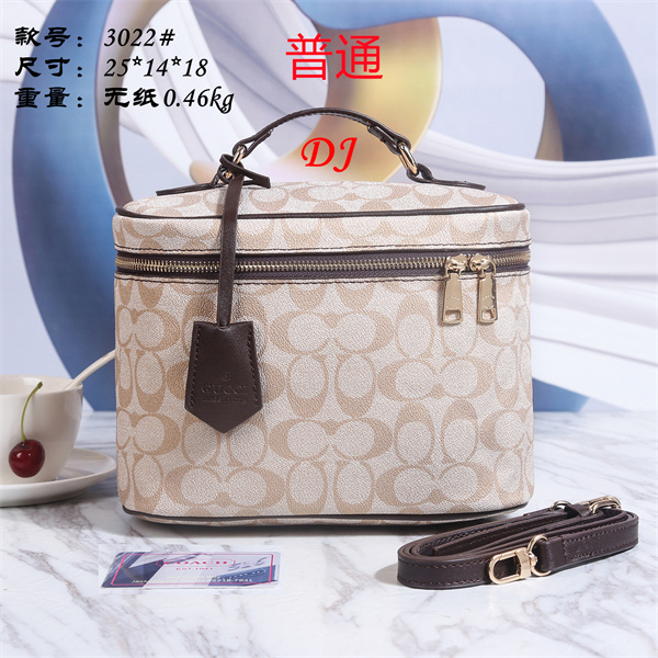 Coach small bag-0137