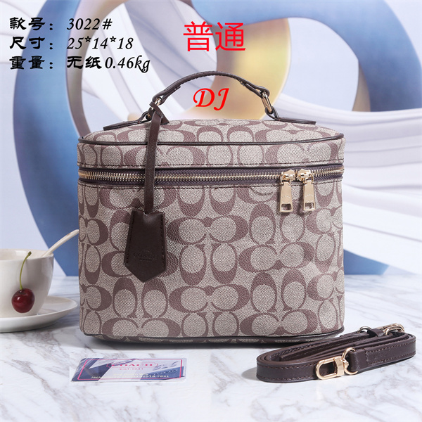 Coach small bag-0139