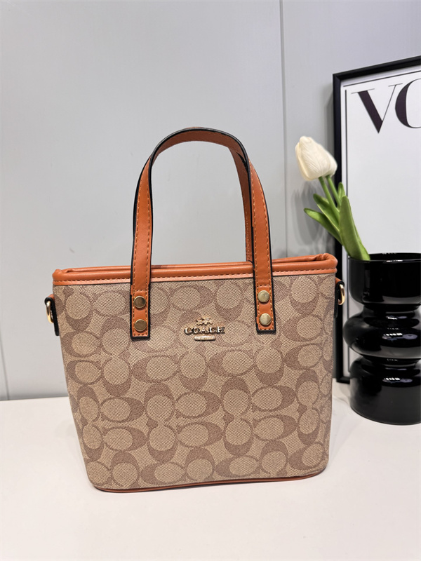 Coach small bag-0148