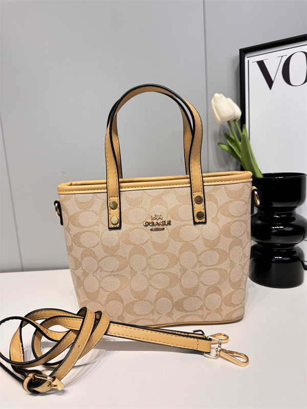 Coach small bag-0150