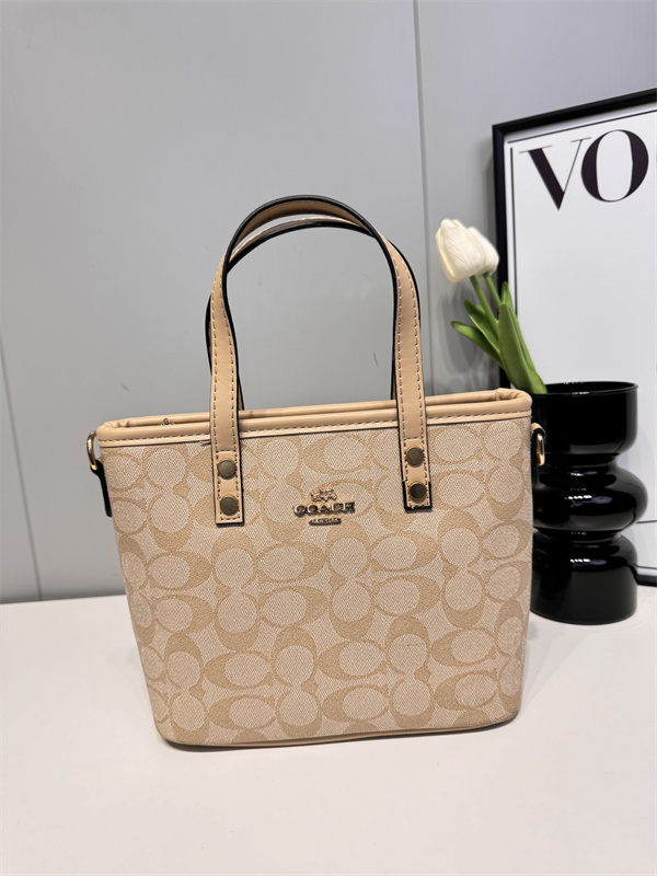 Coach small bag-0153