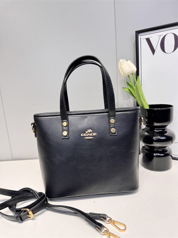 Coach small bag-0155