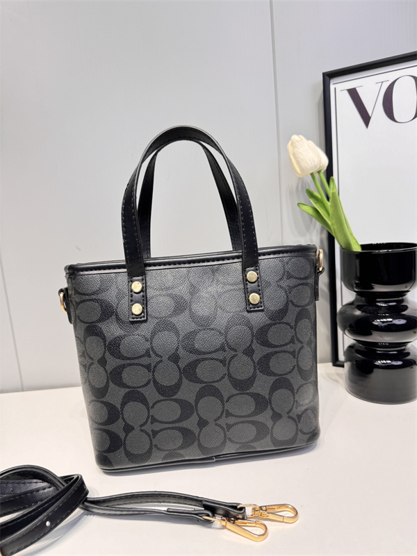 Coach small bag-0156