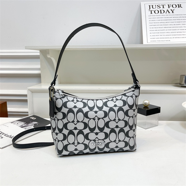 Coach small bag-0163