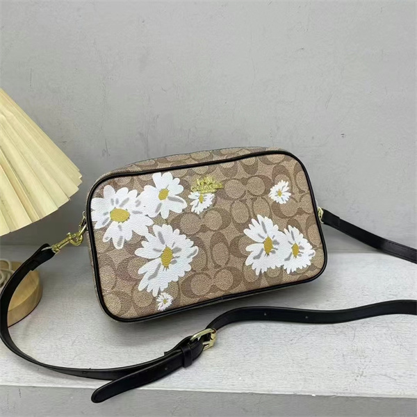 Coach small bag-0174