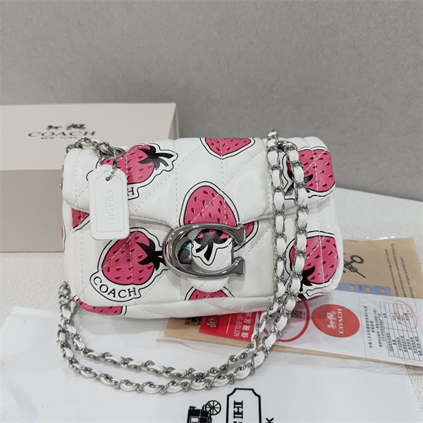 Coach small bag-0185