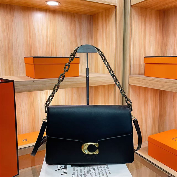 Coach small bag-0191