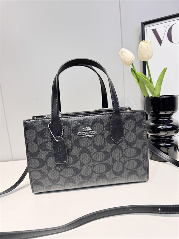 Coach small bag-0197