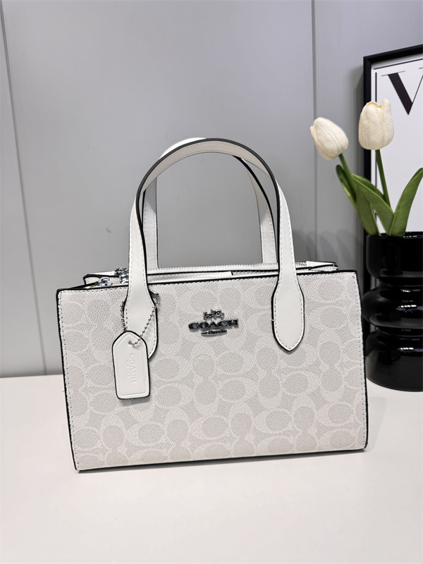 Coach small bag-0201