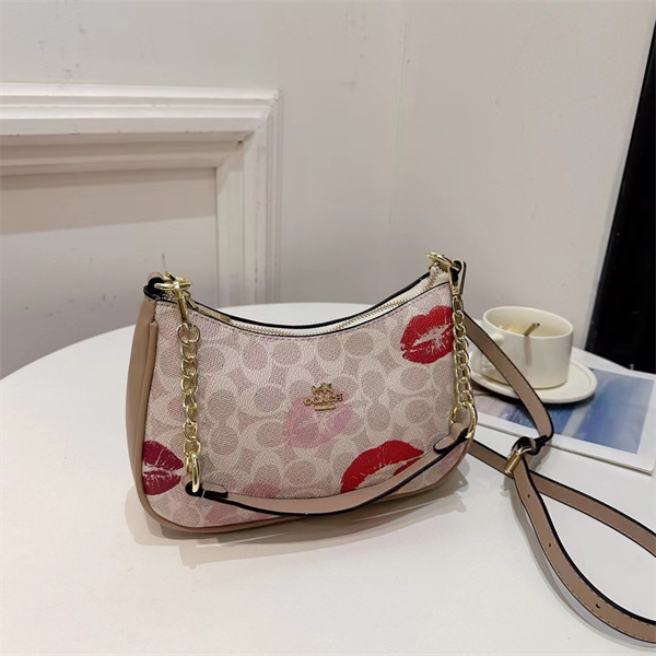 Coach small bag-0203