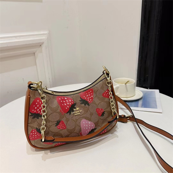 Coach small bag-0204