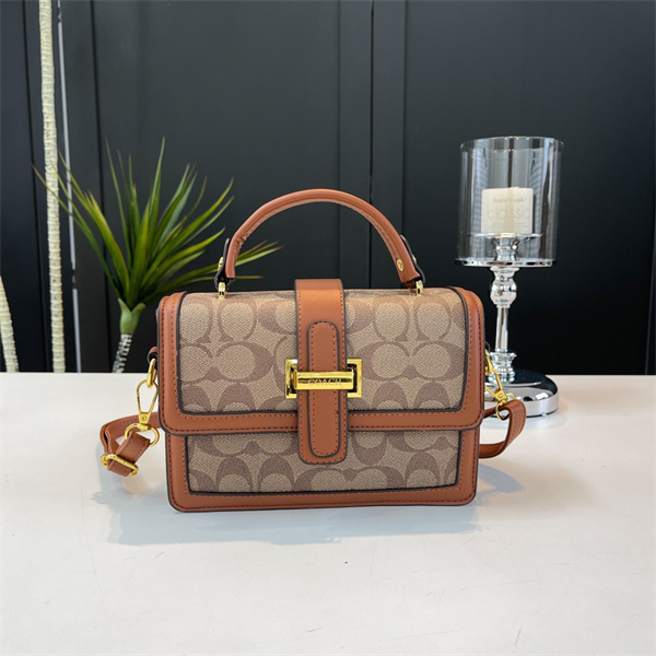 Coach small bag-0224