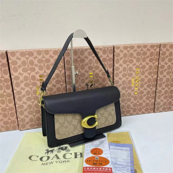 Coach small bag-0244