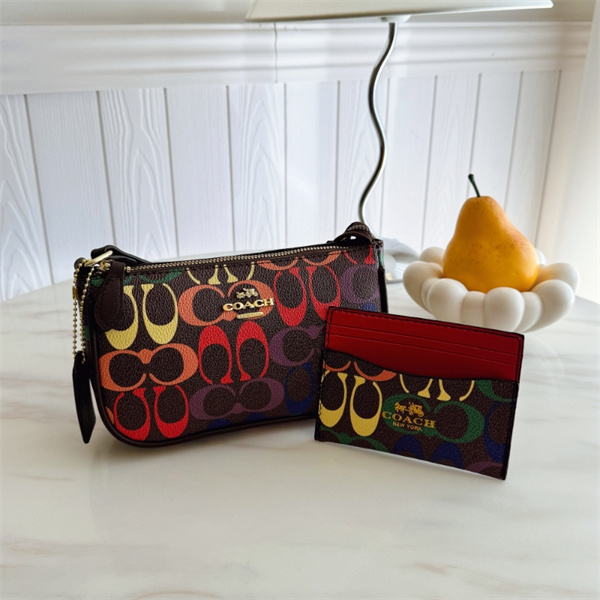 Coach small bag-0257